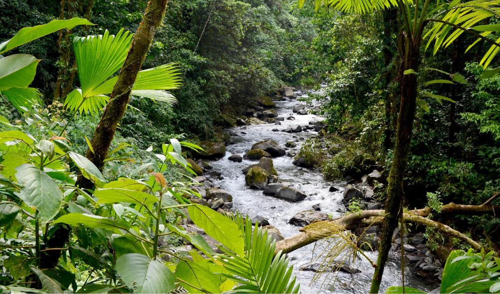 Wellness retreats in Panama 