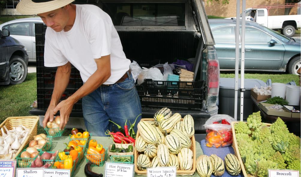 Panama coastal gastronomy