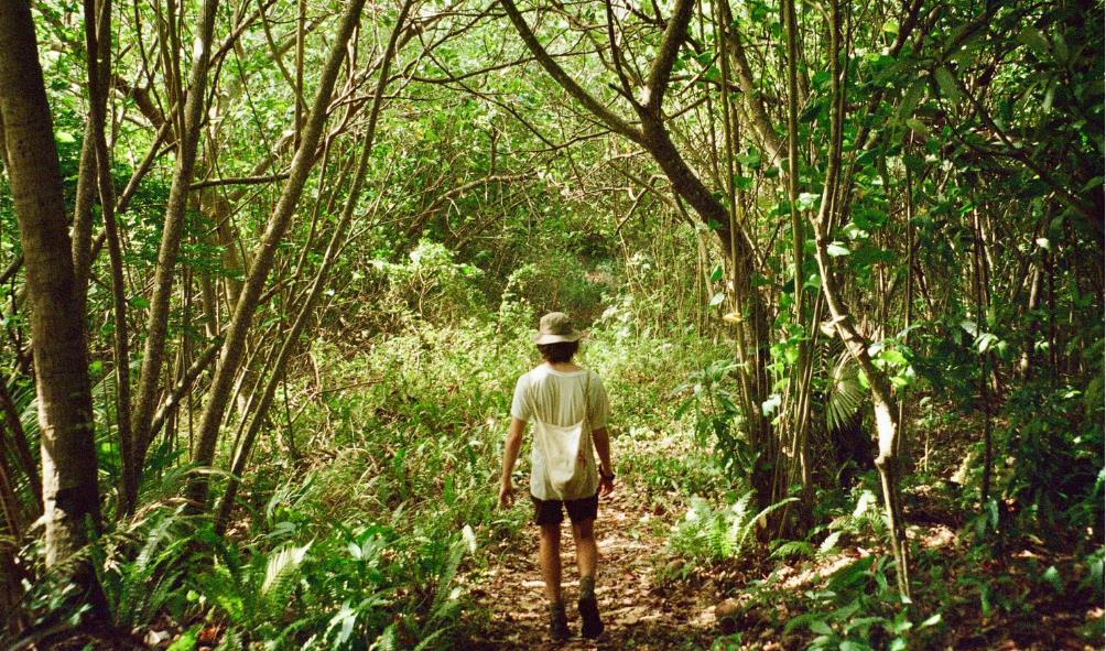Panama biodiversity impact 