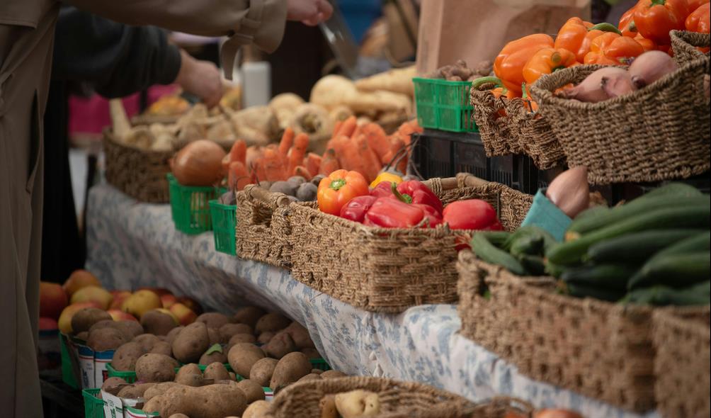 Panama climate influences cuisine 