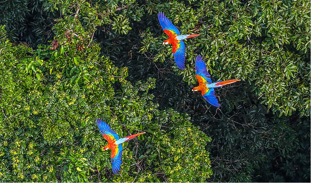 Nature retreats Panama 