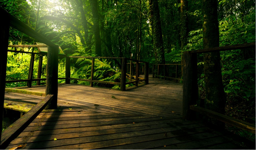 Wellness resorts Panama 