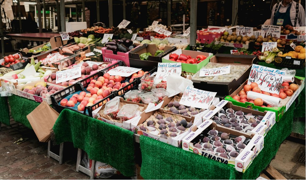 Panama food sustainability tips 