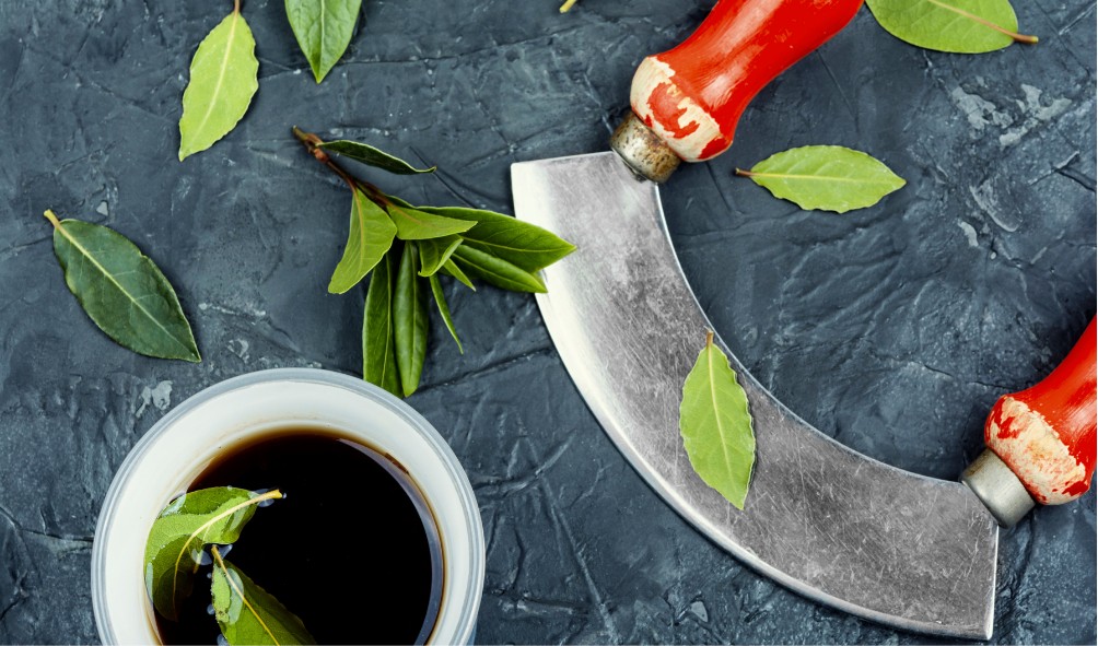 Panama green eating tips 