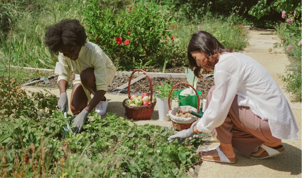 Panama sustainable food sources 