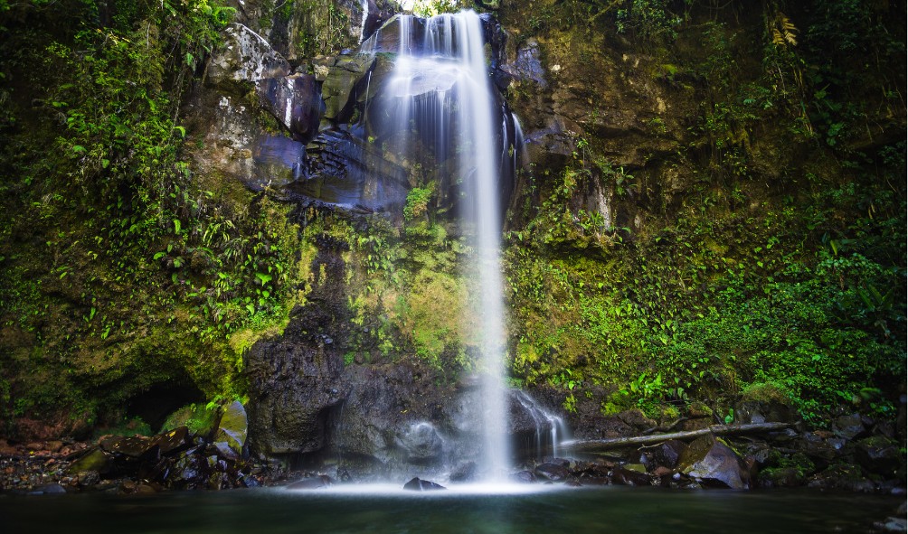 Panama’s longevity lifestyle guide 